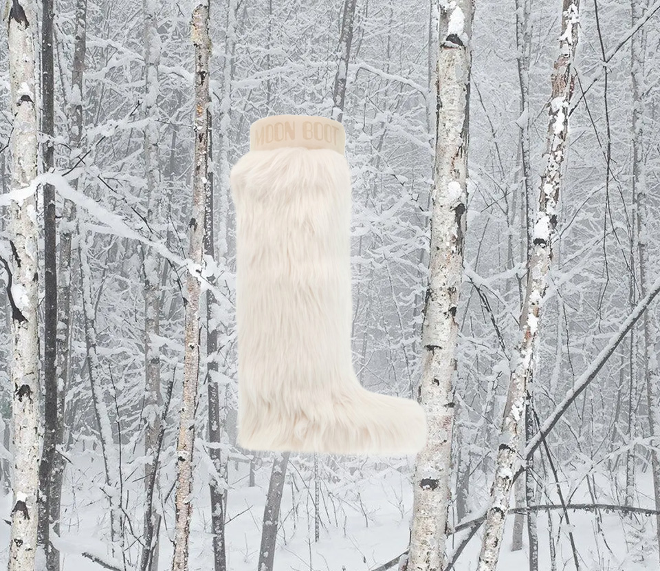 HAVE YOU SEEN A YETI PASSING BY?