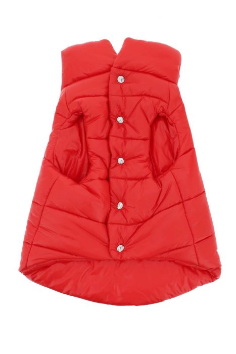 moncler x poldo piumino per cani