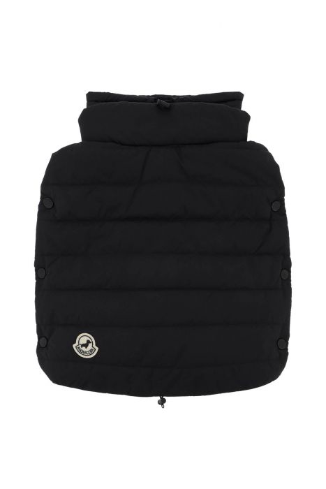 moncler x poldo piumino per cani impermeabile