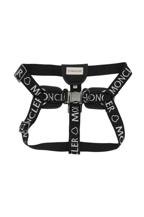 moncler x poldo pettorina in nastro logato