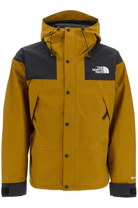 the north face mountain gore-tex jacket