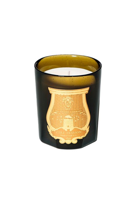 cire trvdon 'spirit of the holy spirit room diffuser