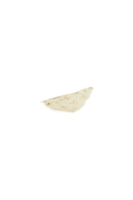 christina iversen ceramic oyster